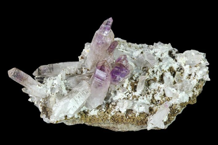 Amethyst Crystal Cluster - Las Vigas, Mexico #136997